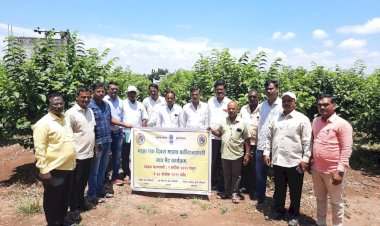 *सिद्धेवाडी येथे कृषी विभागाचा"माझा एक दिवस माझ्या बळीराजासाठी" या उपक्रमाचे आयोजन:- पंढरपूर तालुका कृषी विभागाचा पुढाकार*