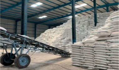 साखर निर्यातीचे धोरण स्पष्ट नसल्याने कारखानदार संभ्रमात