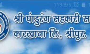 श्री पांडुरंग सहकारी साखर कारखान्याचा रविवारी मोळीचा शुभारंभ