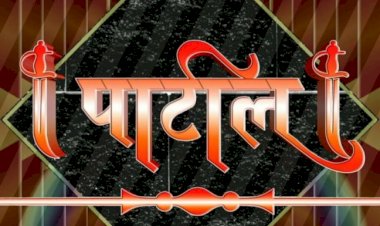 सोलापूर जिल्हा परिषद व महसूल विभागात सध्या "पाटलांचा ,दबदबा