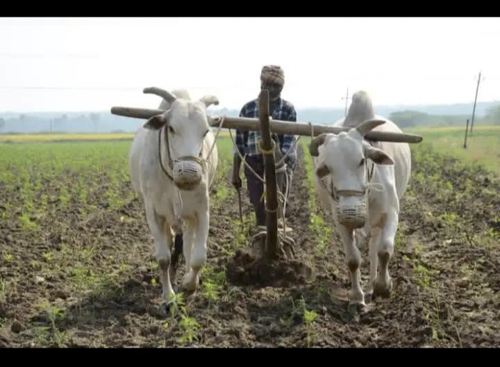 शेतजमिनीच्या ताब्यावरील वाद मिटवणारी महाराष्ट्र सरकारची सलोखा योजना..