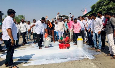 दूध उत्पादक शेतकऱ्यांच्या बाबतीत सरकार आंधळ्याची भूमिका घेत आहे - स्वाभिमानीचे सचिन आटकळे .