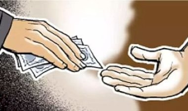 उमरडच्या महिला मंडल अधिकारी यांना लाच घेताना  अधिकाऱ्यांनी पकडले ; करमाळा तालुक्यातील प्रकार.