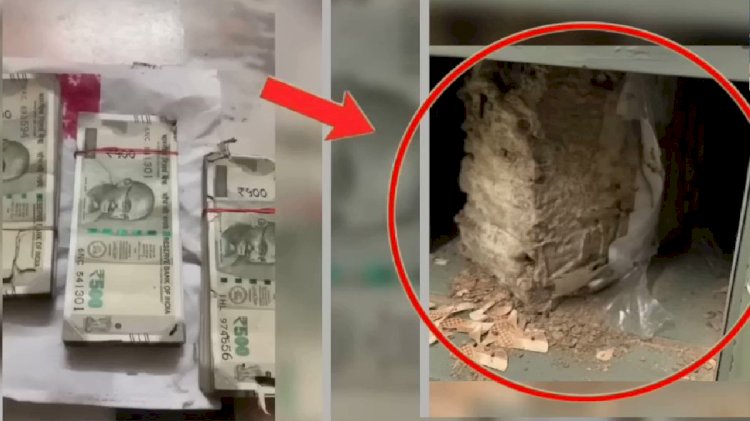 आईनं मुलीच्या लग्नासाठी बँक लॉकरमध्ये ठेवले १८ लाख,वाळविन नाेटा केल्या भुगा,