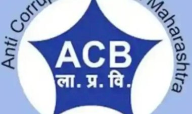 50 हजाराच्या लाच प्रकरणी मावळ तालुक्यातील तलाठी अ‍ॅन्टी करप्शनच्या जाळयात