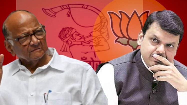 शरद पवार भाजपला देणार सोलापूर जिल्ह्यात सर्वात मोठा धक्का,   विधानसभापूर्वी पंढरपूर मधील बडा नेता तुतारी फुकणार ,  या चिमण्यानो परत फिरा रे अशी साध खा .पवार जिल्ह्यातील जुन्या मंडळींना घालणार आहेत.