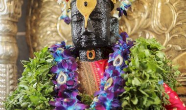 श्री. विठ्ठल रुक्मिणी मातेच्या तुळशी अर्चन पूजेची २६ ऑक्पाटोंबर पासून ऑनलाईन नोंदणी.  कार्यकारी अधिकारी श्रीकांत यादव.   ◾दि. ०१ नोव्हेंबर  ते ३०नोव्हेंबर  २०२६ मधील पुजांची होणार नोंदणी.